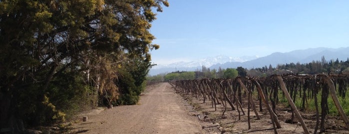 Bodega Nieto Senetiner is one of Lugares favoritos de Edu.