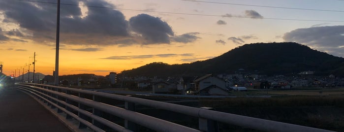 新大束川橋 is one of 国道11号.