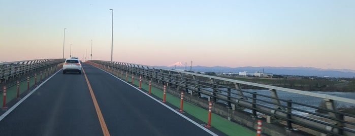 Saitama-ohashi Bridge is one of TONEGAWA.