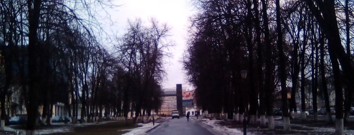 Сквер на ул. Чайковского is one of Ярославль.