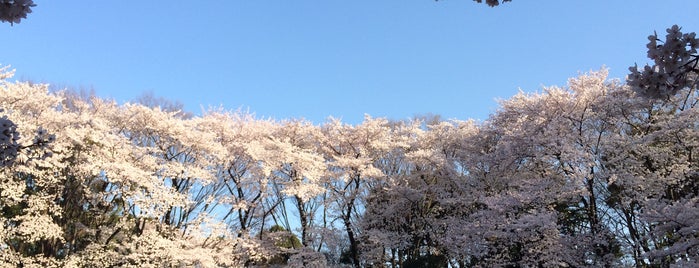 Komaba Park is one of Tokyo!.