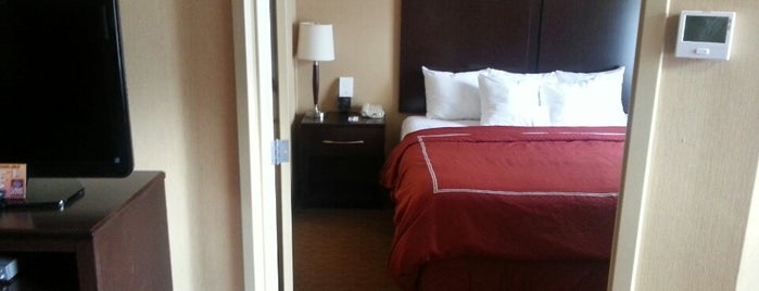 Comfort Suites Downtown is one of Cheap Buffalo Hotels.