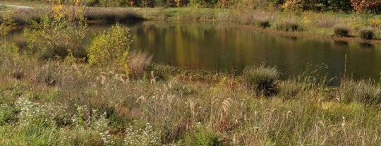 Eagle Creek Greenway is one of Locais curtidos por Jared.