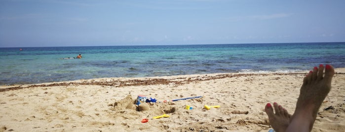 Coccaro Beach Club is one of Puglia.