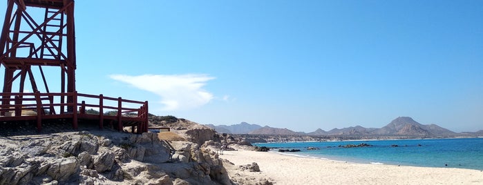 Playa Los Arbolitos is one of Kikita : понравившиеся места.