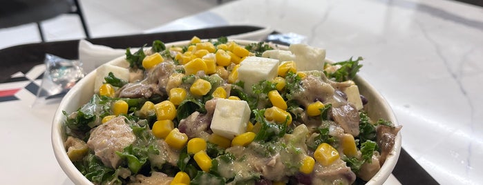 Salata is one of صحي.