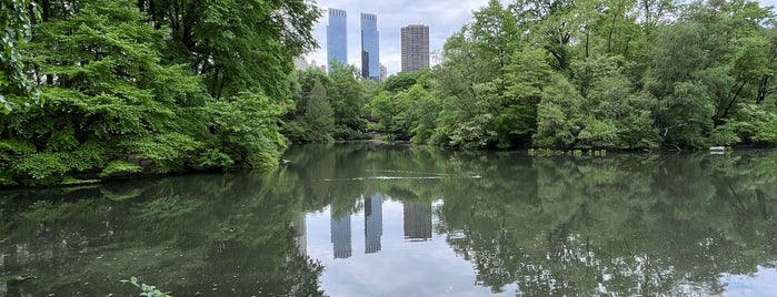 Thompson Central Park New York is one of Hyatt Approved.