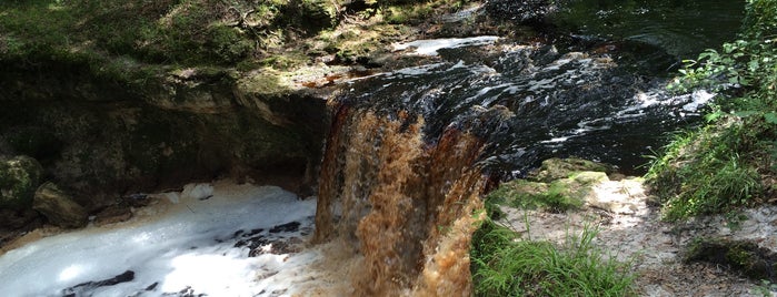 Falling Creek Falls is one of Leaving Footprints.