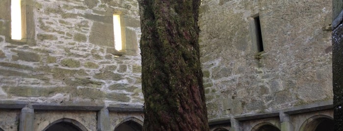 Muckross Abbey is one of இTwo tickets to Dublinஇ.