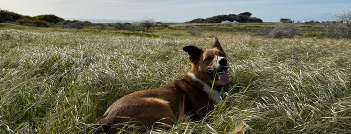 Fort Funston is one of Neighborhood SF.