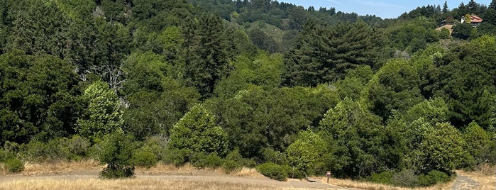 Serpentine Prairie Trail is one of East Bay Regional Park District.