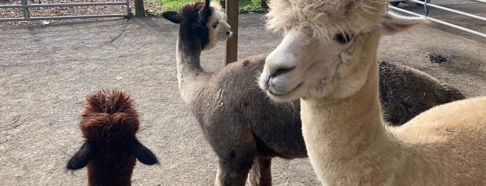 Bluebird Farm is one of Lugares guardados de al.