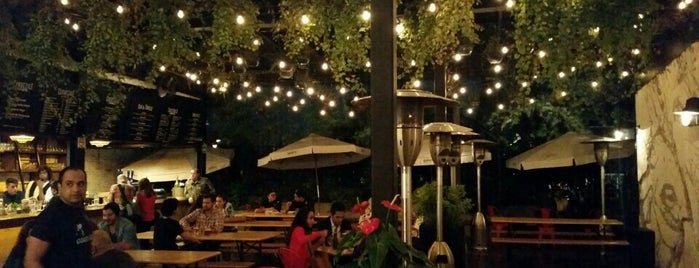 Biergarten is one of Mexico City 2016.