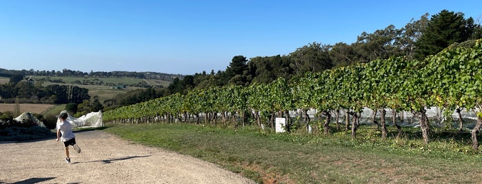 Eldridge Estate is one of Wineries In Australia.