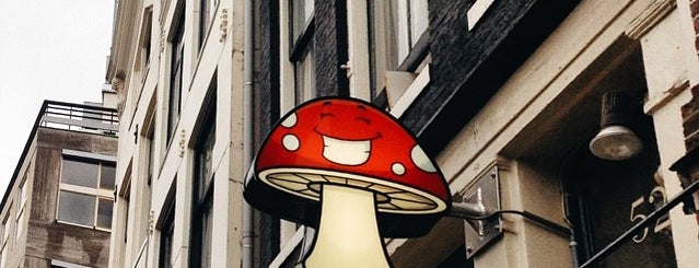 The Magic Mushroom Gallery is one of Amsterdam [Day].