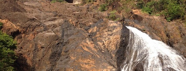Dudhsagar Waterfalls is one of MedioOriente.