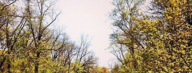 Delaware and Raritan Canal Towpath is one of สถานที่ที่ Lizzie ถูกใจ.