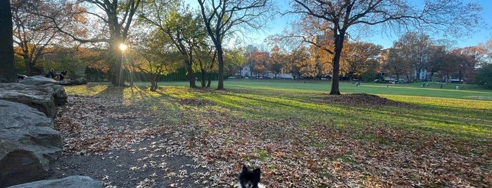 Bronx Greenway Mosholu / Old Putnam Trail at Van Cortlandt Park is one of Nature - go explore!.