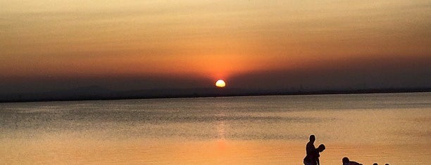 Parc Natural de l'Albufera is one of Turismo en Valencia / tourism in Valencia.