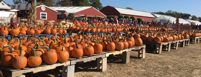 Duffield's Farmers Market is one of Fall Activities.