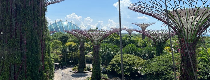OCBC Skyway is one of Singapur.