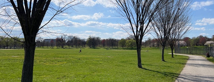 Patterson Park is one of The 15 Best Places with Scenic Views in Baltimore.