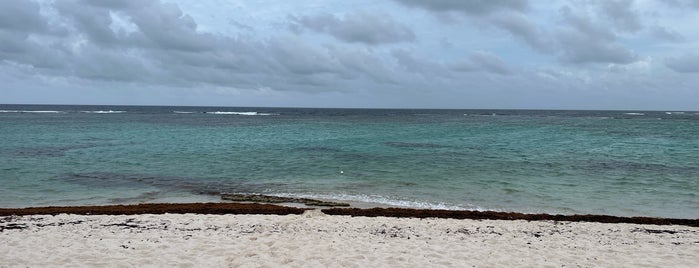 Loblolly Bay is one of Virgin Islands.