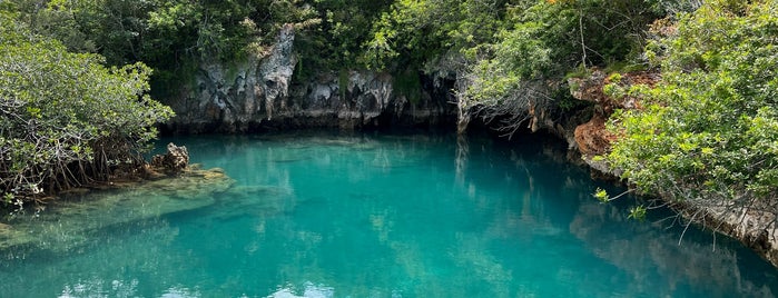 Blue Hole Park is one of Bermuda To-Do List.