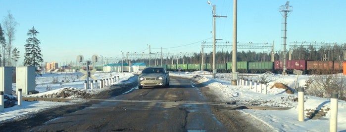 Порт Усть-Луга is one of Ust-Luga Cup 2013.
