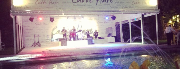 Cadde Hare is one of gidilecekler.