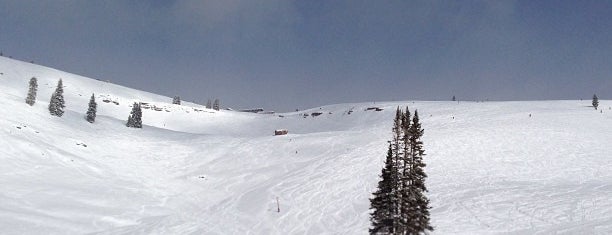 China Bowl- Vail is one of Ski.
