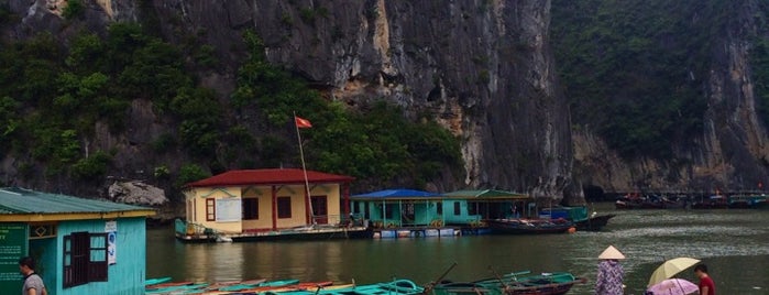 Vịnh Hạ Long (Ha Long Bay) is one of Far Far Away.