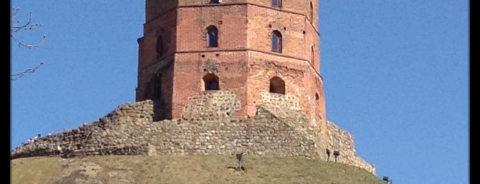Gediminas’ Tower of the Upper Castle is one of ..кДедушке.