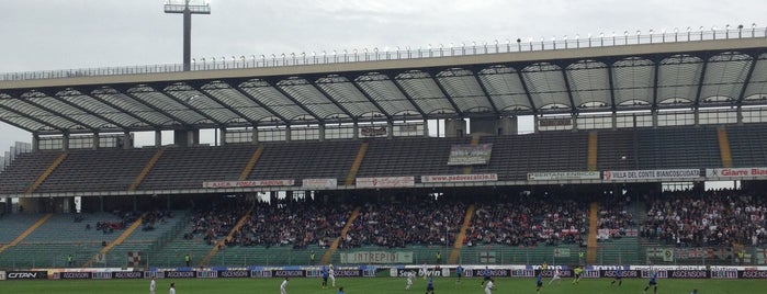 Stadio Euganeo is one of Stadi Serie B.