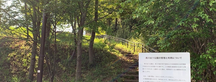 黒川谷ツ公園 is one of はるひ野駅 | おきゃくやマップ.
