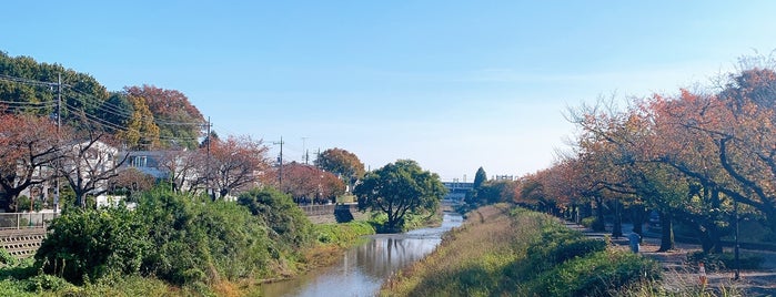 きたみふれあい広場 is one of 公園.