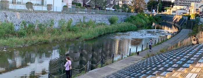 境川 親水公園 is one of 境川ポタ♪.