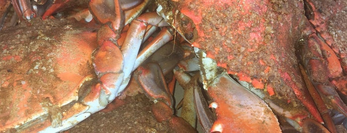 Blue Crab is one of Seafood.