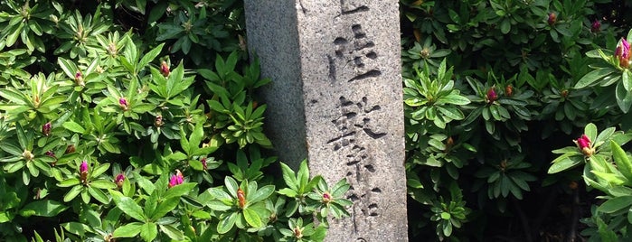 天誅組上陸繋船の楡 is one of 堺.