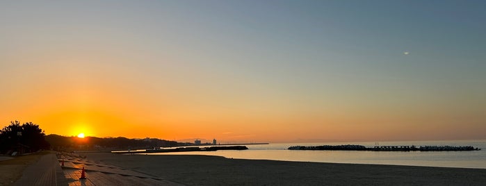 箱作海水浴場 (ぴちぴちビーチ) is one of 大阪みどりの百選.