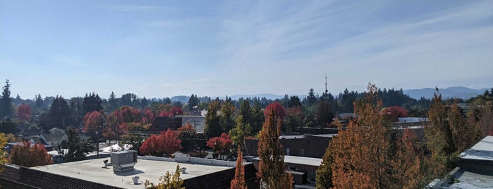 McMenamin's Roof Top Bar is one of PDX trip.