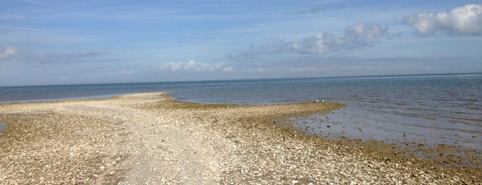 Texas City Dike is one of Aさんのお気に入りスポット.