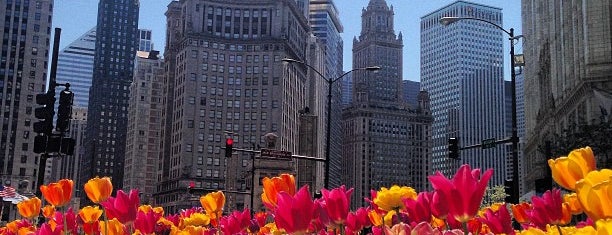 The Magnificent Mile is one of Chicago Favorites.