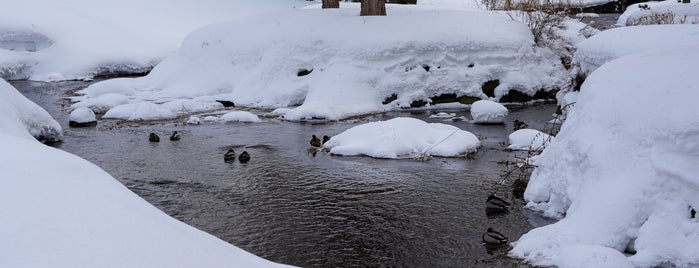 中島公園 is one of Gianniさんのお気に入りスポット.