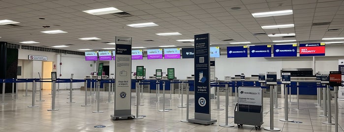 Aeropuerto Internacional Gral. Rodolfo Sánchez Taboada (MXL) is one of Aviación en México.