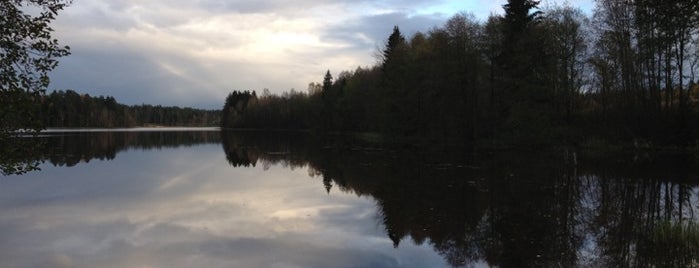 Lieux qui ont plu à Varvara