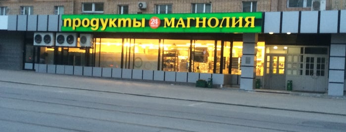 Магнолия is one of Никаさんのお気に入りスポット.
