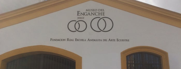 Museo Del Enganche Jerez is one of Jerez.