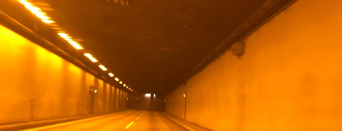 Guldborgsundtunnelen is one of Kopenhagen.