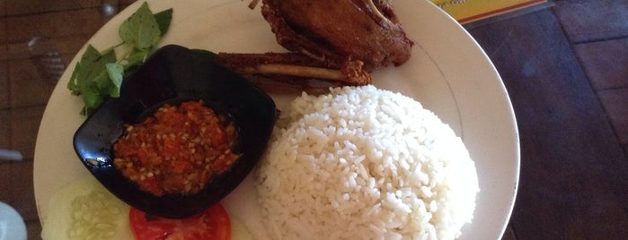 Bebek & Ayam Goreng Pak Ndut is one of Favorite Food.